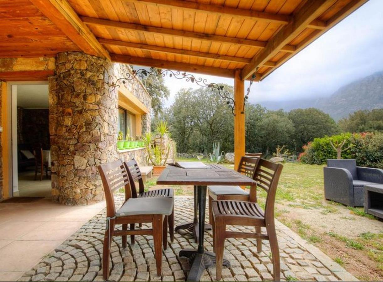 Studio Confortable Avec Vue Sur La Montagne A Moltifao 30M² Jardin מראה חיצוני תמונה