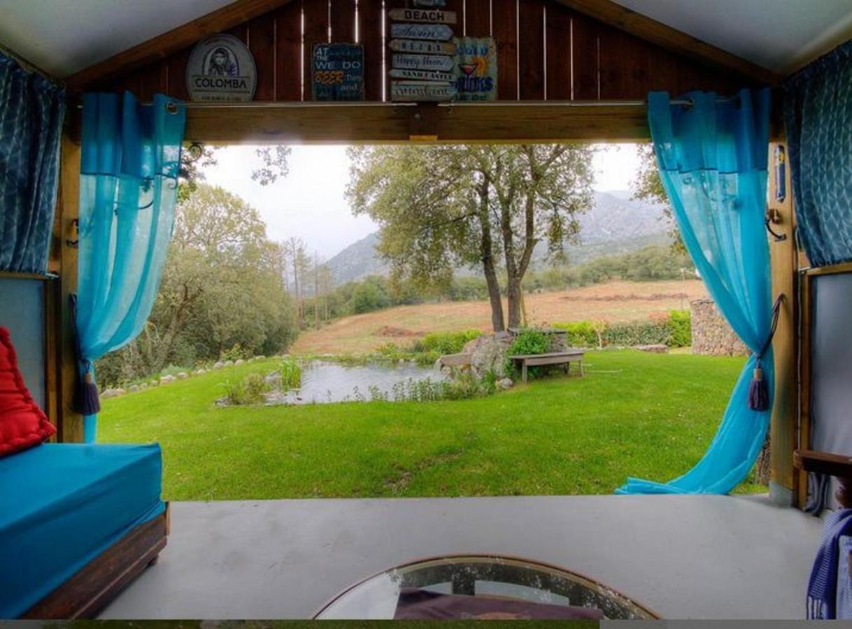 Studio Confortable Avec Vue Sur La Montagne A Moltifao 30M² Jardin מראה חיצוני תמונה