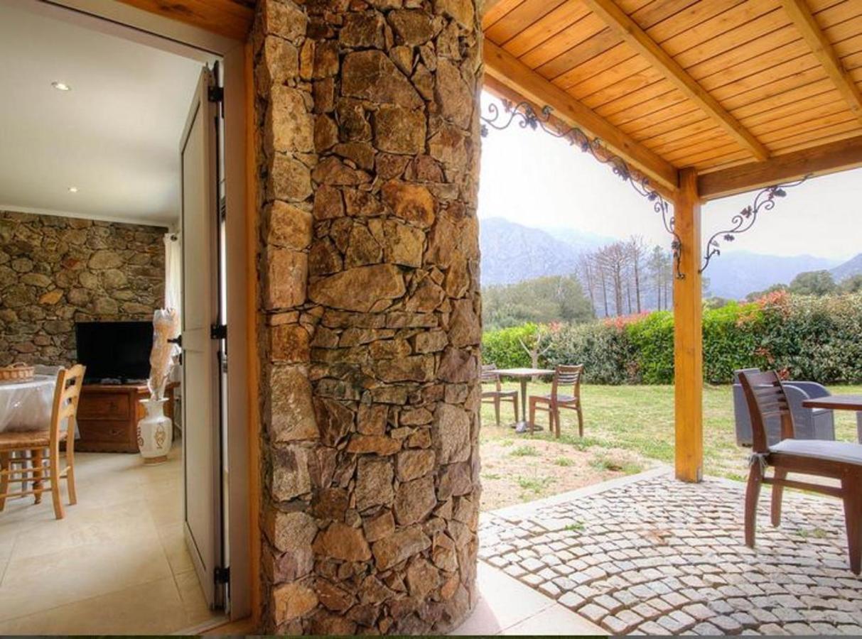Studio Confortable Avec Vue Sur La Montagne A Moltifao 30M² Jardin מראה חיצוני תמונה